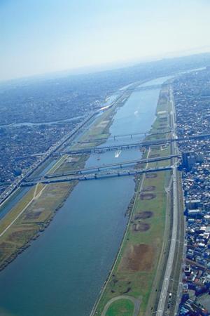 シャビークラフトに依頼するとよいと言えます