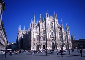 安価に確実に外壁調査が行えます