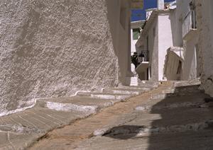 福岡市香椎エリアで理想の賃貸物件を見つけるなら！香椎セピア通り店の魅力と最新情報