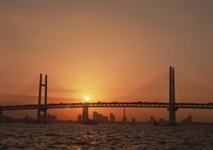 2025年最新版│アドベンチャーパークの安全対策とおすすめポイント完全ガイド